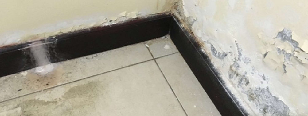 Erzurum kamerayla su sızıntısını bulan firma