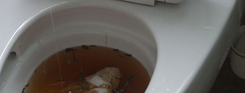 Erzurum Kırmadan Tıkalı Tuvaleti Açmak